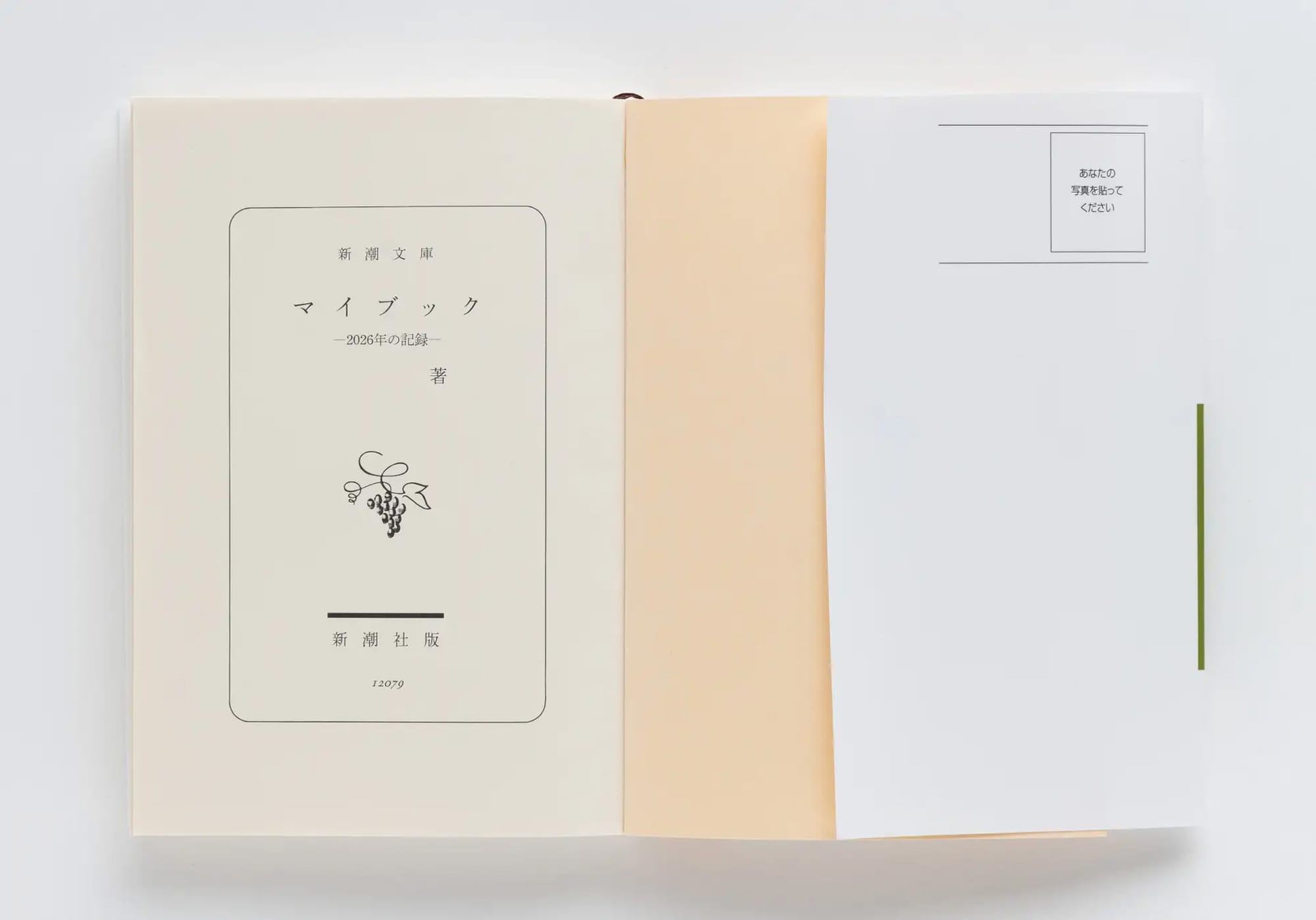 신초샤가 출시한 책 ‘마이북(マイブック, My Book)’의 커버를 열어본 사진. 저자명이 비어있다.