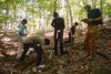 Research and restoration intersect in woods