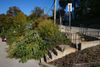 Nine projects seek part of $4.5 million