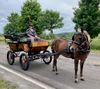 Aquefest to celebrate history and culture