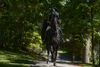 Headless Horseman endures with many faces