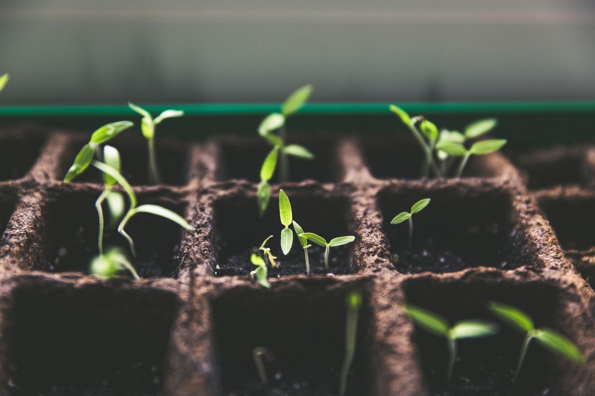 Building Applications on Compound Finance