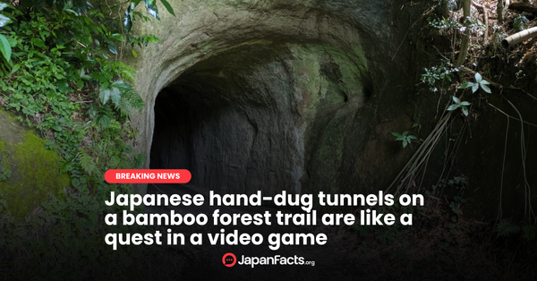 Bamboo Tunnel Quest
