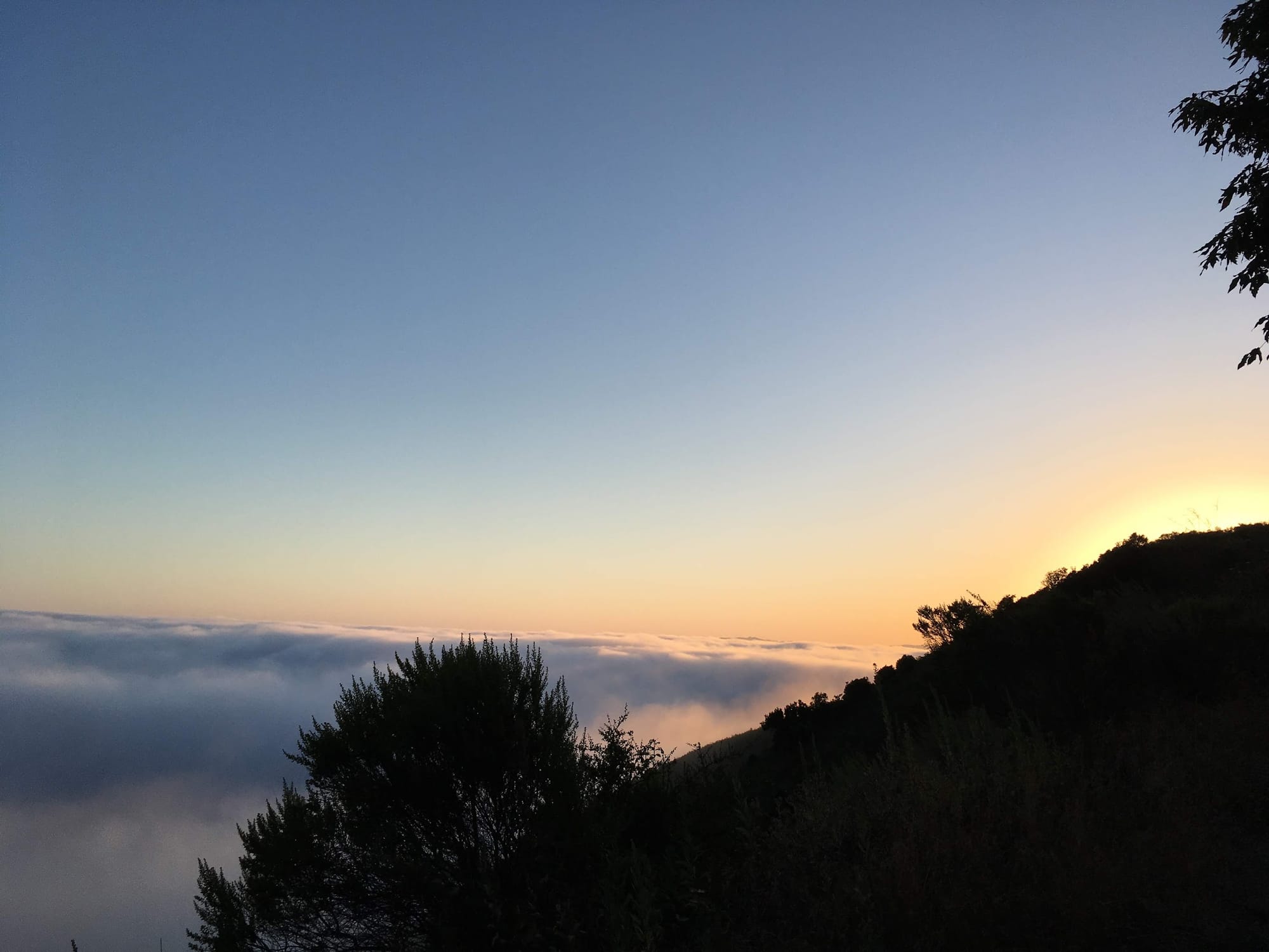 First light breaking over a sea of fog