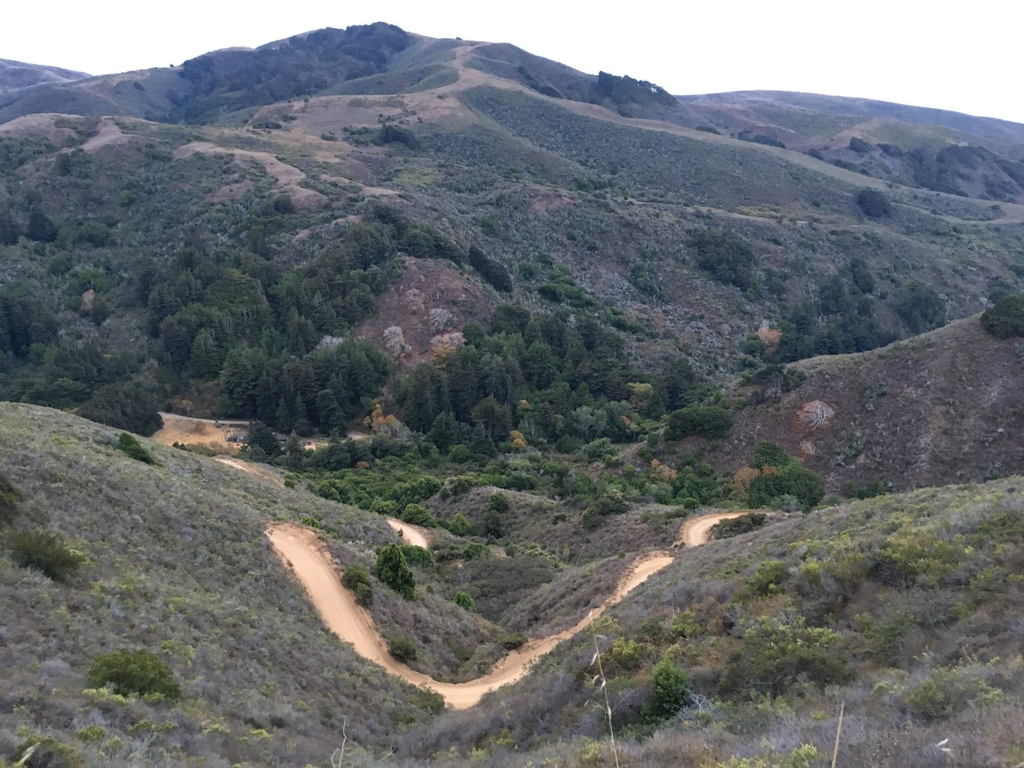 Switchbacks dropping into the redwoods