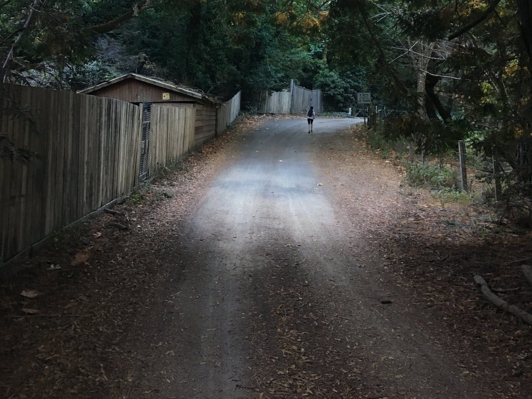 A runner far ahead on the shaded road through El Sur Ranch