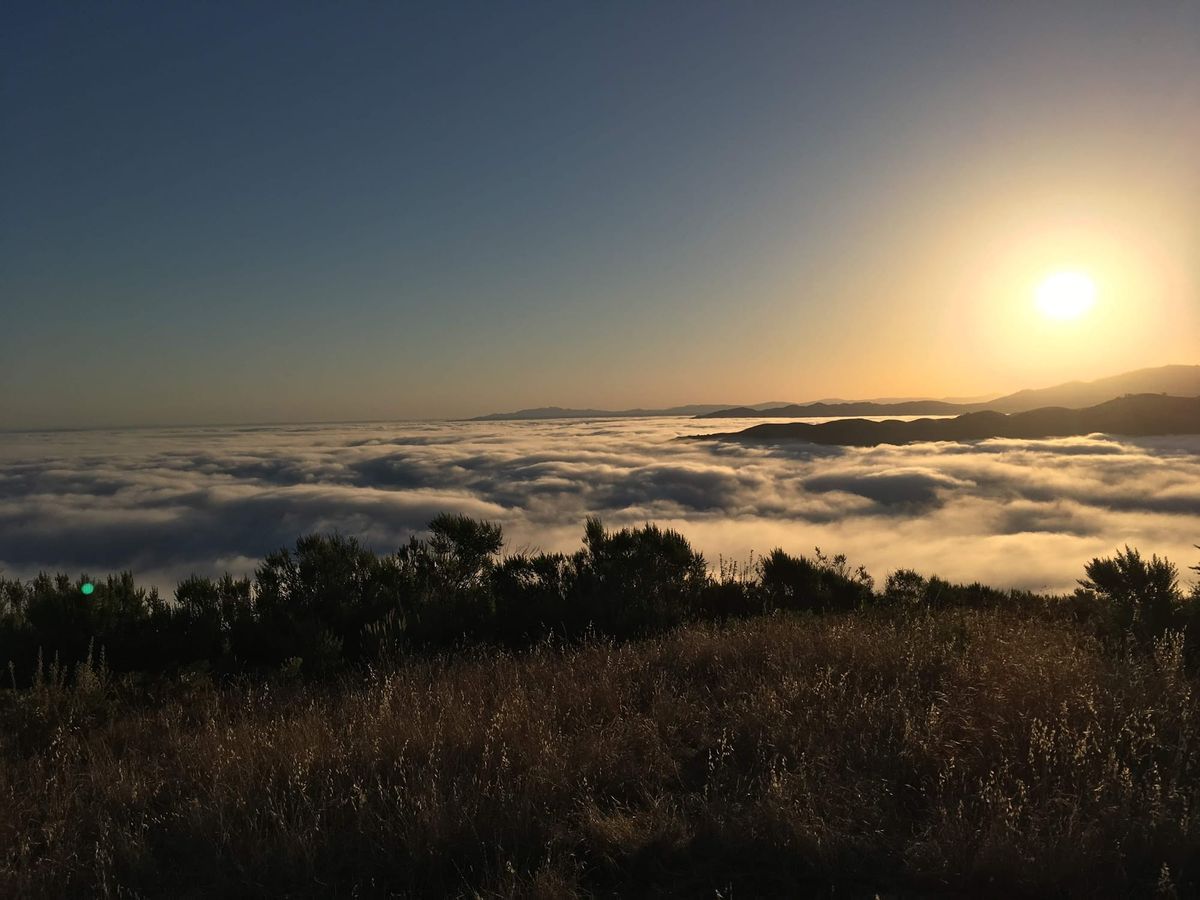 The sun low over a sea of fog