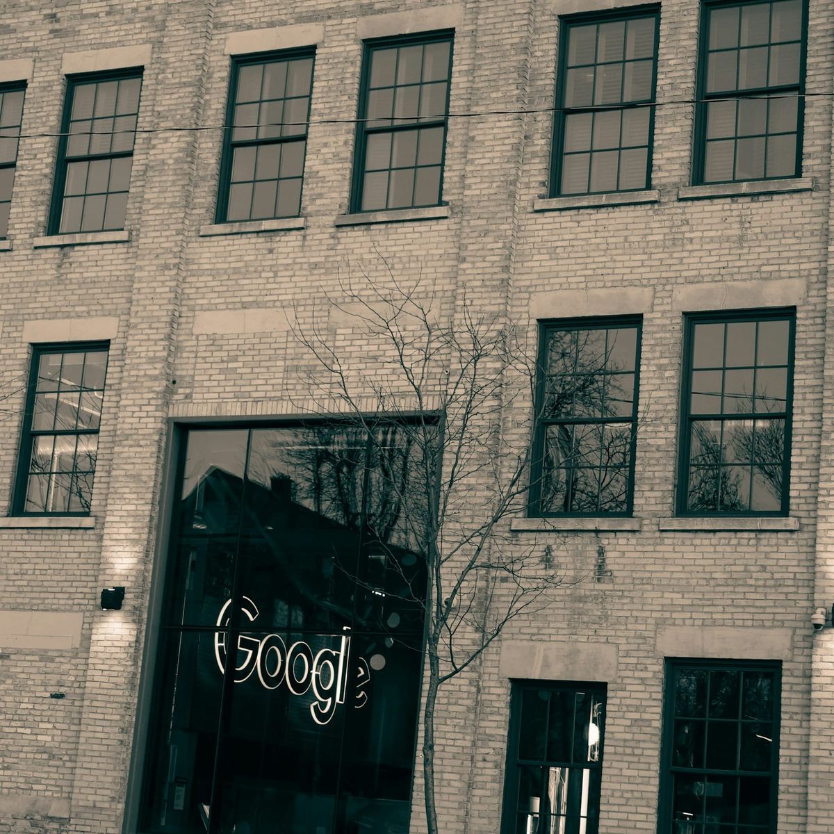 Debate: The rise and rise of big tech