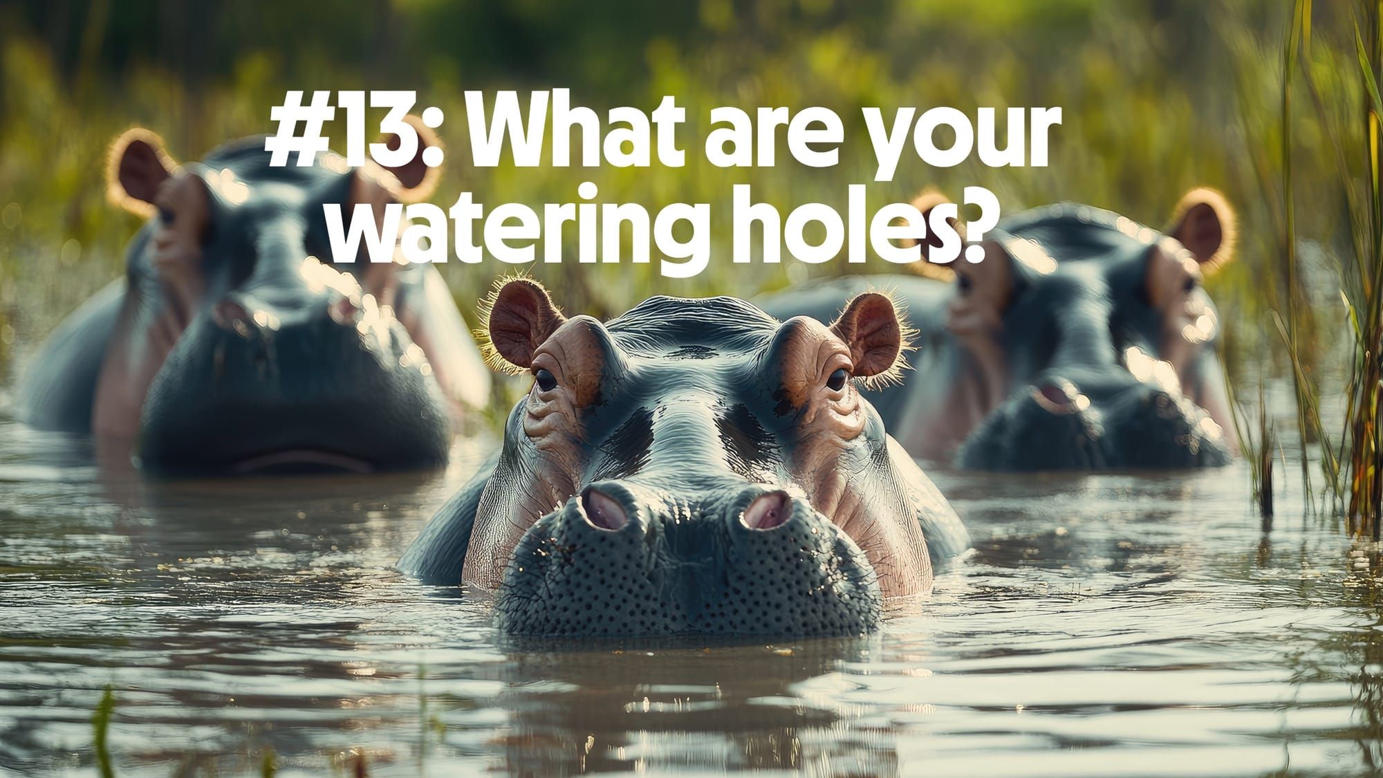 What are your watering holes?