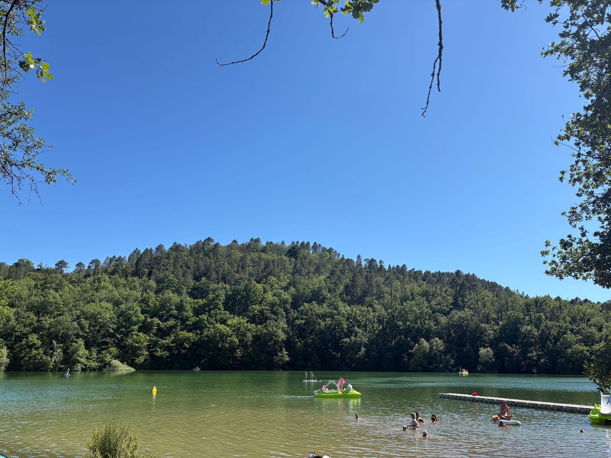 📆 What the Substack Growth Mafia don't tell you