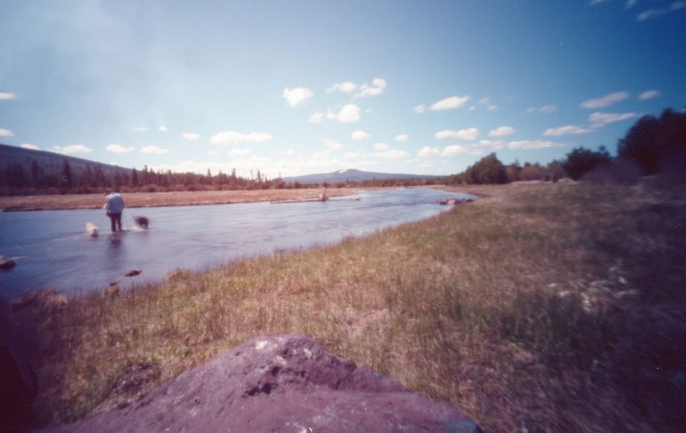 A pinhole photo of a man walking two dogs across a creek. 