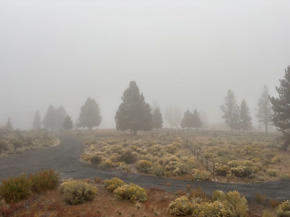 Foggy day in the neighborhood.