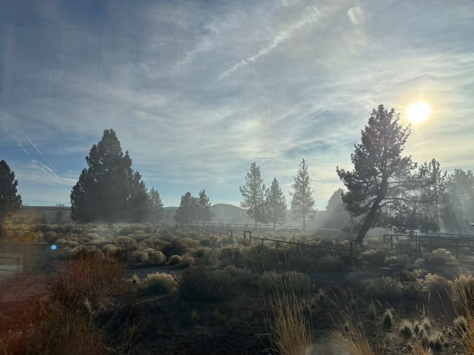 Smoke in a rural high-desert  landscape with bushes and trees.