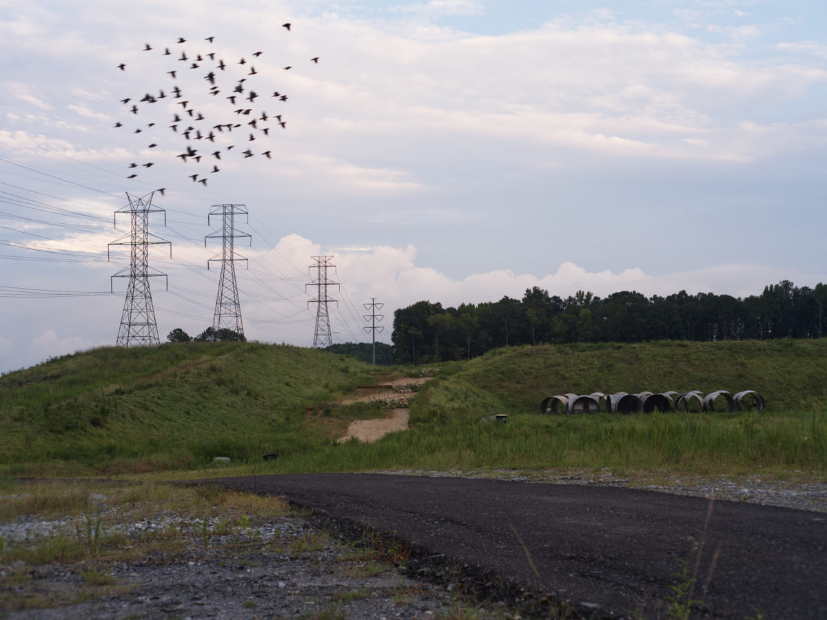 CALL TO ACTION: Demand Commissioner Bolton Withdraw Her Data Center Ordinance on October 13