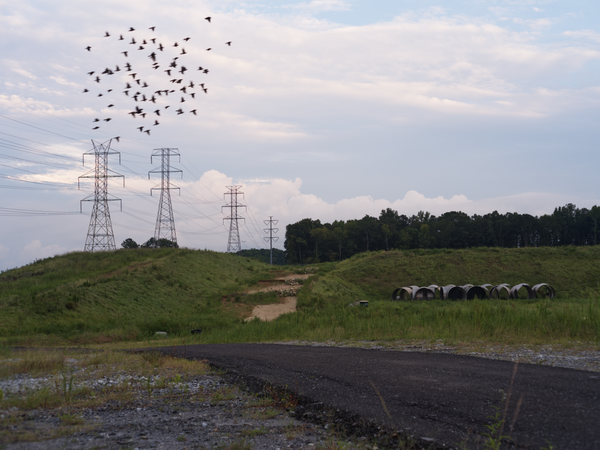 CALL TO ACTION: Demand Commissioner Bolton Withdraw Her Data Center Ordinance on October 13