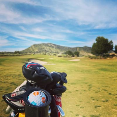 The beginners guide! (or the perfect dust-off)