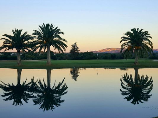 7 amazing courses in Mallorca