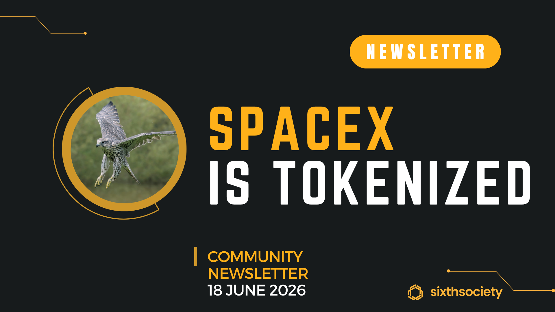 The Falcon Has Landed