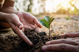 Pastoral gissningslek eller missionerande församlingsbygge