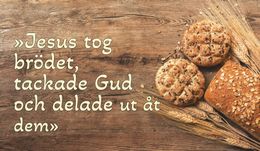 Midfastosöndagen, (Laetare)