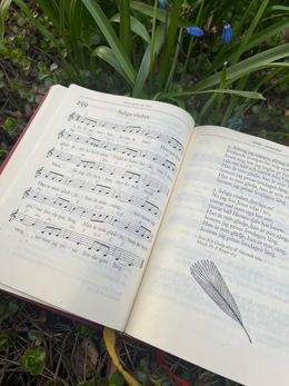 Saliga visshet – om trosvissheten