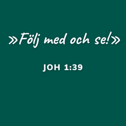 Andra söndagen efter Trefaldighet