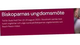 Biskoparnas ungdomsmöte överraskar
