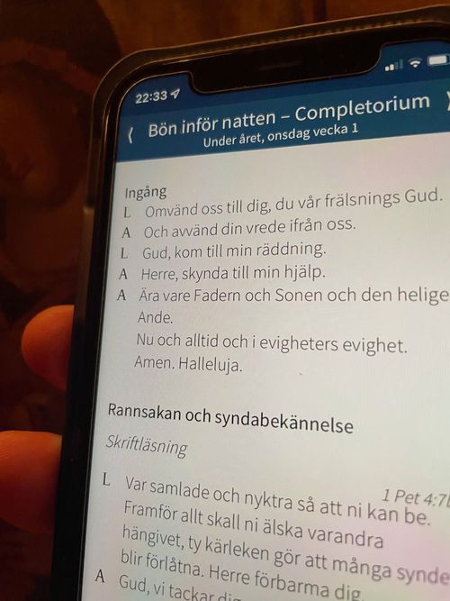 Digital ecklesiologi för en sakramental kyrka