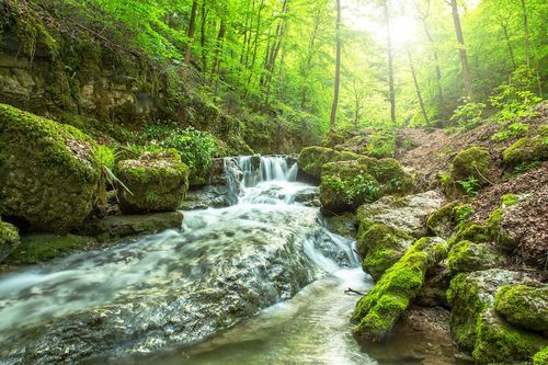 Elfte söndagen efter trefaldighet
