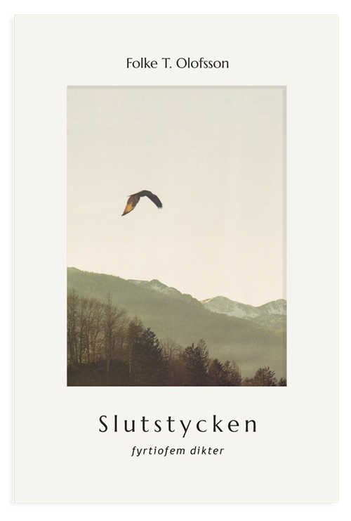 För verklighetens skull