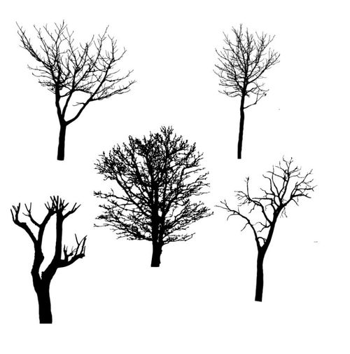 Sanningssökande och sanningsägande