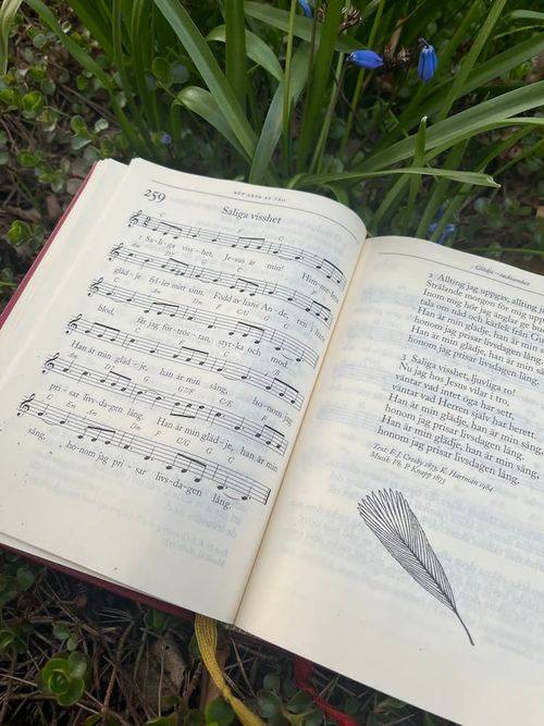 Saliga visshet – om trosvissheten