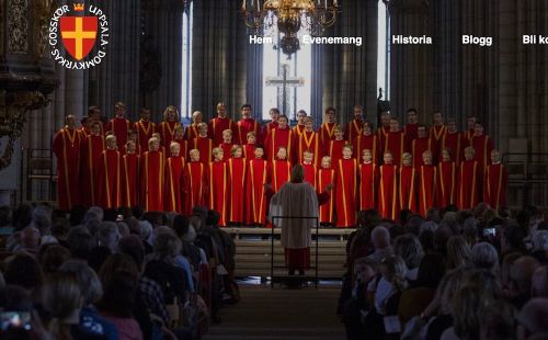 Ett framgångsrikt barnkörarbete