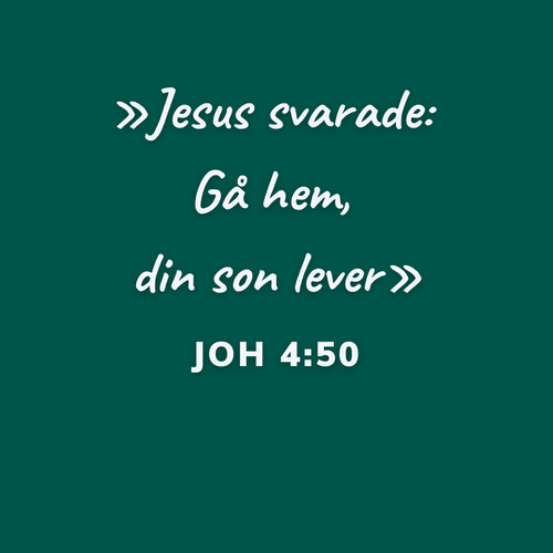 Tredje söndagen efter Trettondedagen