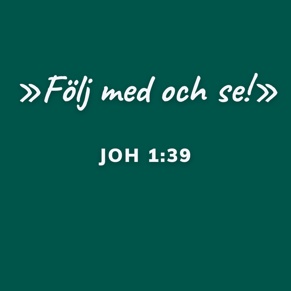 Andra söndagen efter Trefaldighet