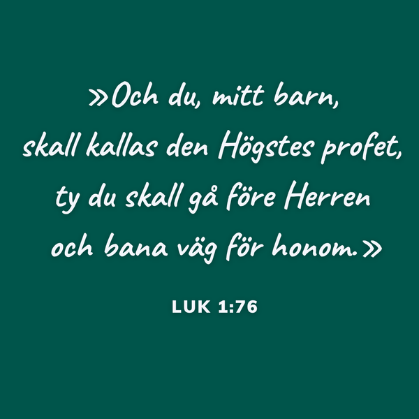 Den helige Johannes Döparens dag