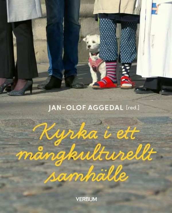 Mångkultur i Sydsverige
