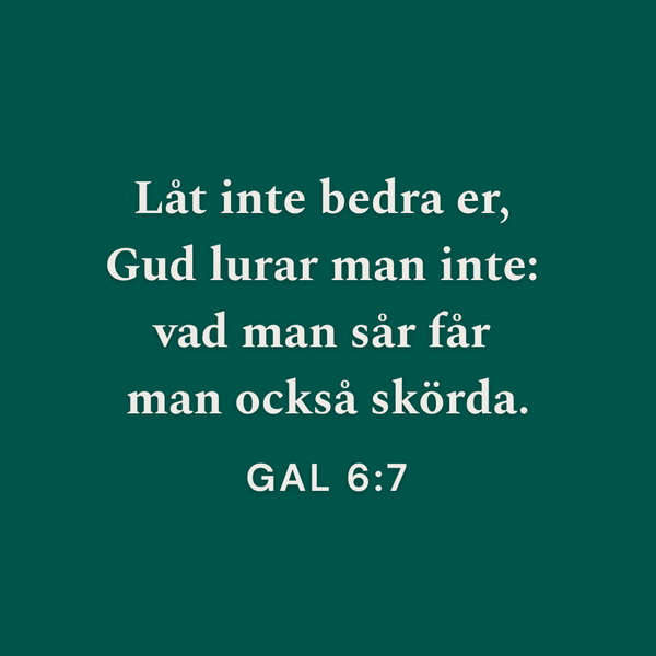 Fjärde söndagen efter Trefaldighet