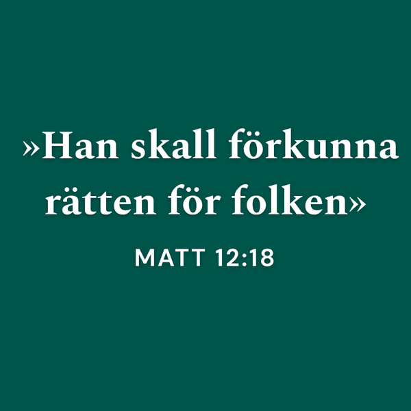 Tjugoförsta söndagen efter Trefaldighet