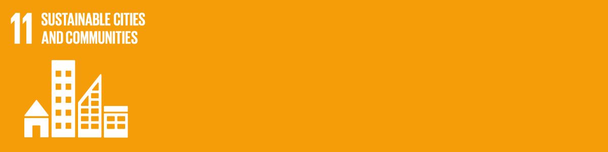 11 Sustainable Cities and Communities