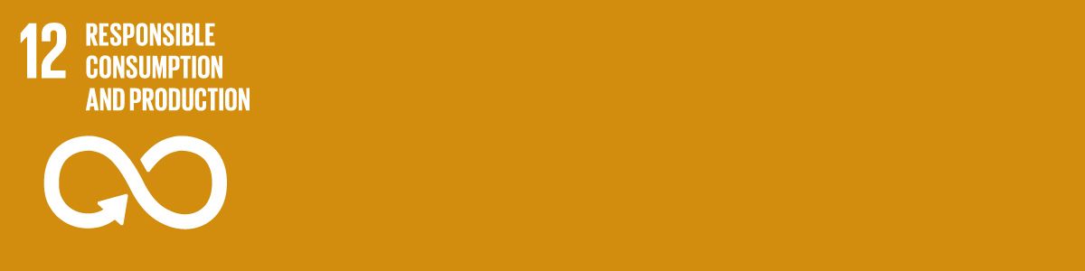 12 Responsible Consumption and Production