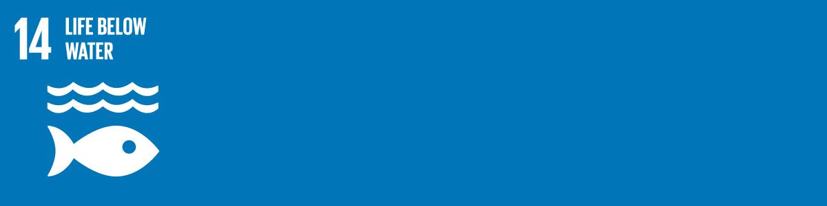 14 Life Below Water