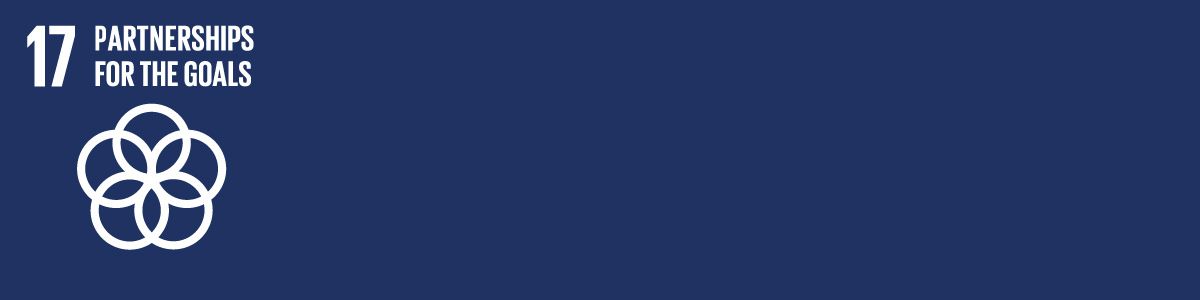 17 Partnerships for the Goals