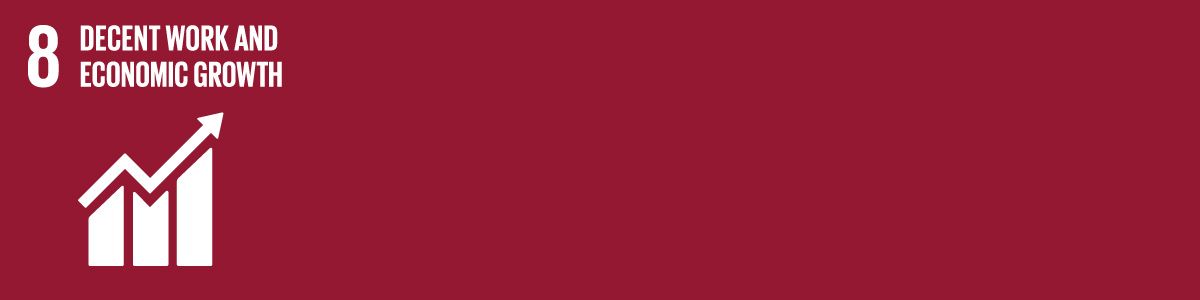 8 Decent Work and Economic Growth