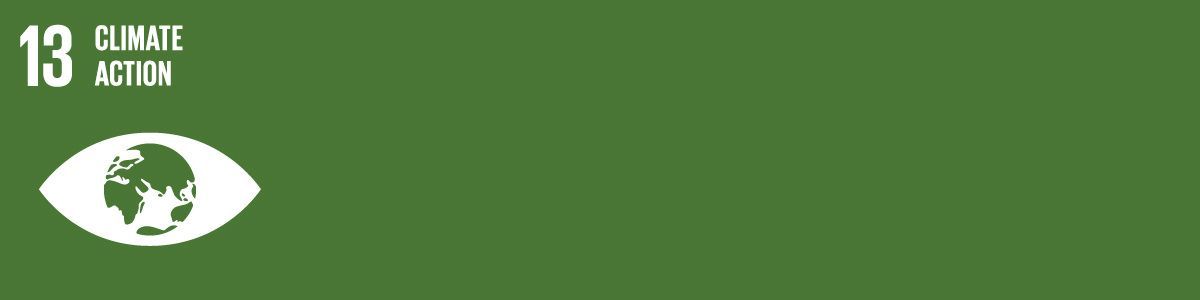 SDG 13 - Climate Action