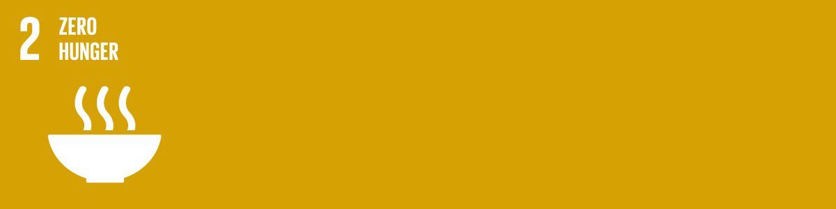 SDG 2 - Zero Hunger