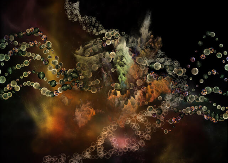 Navindra Soodoo, PhD