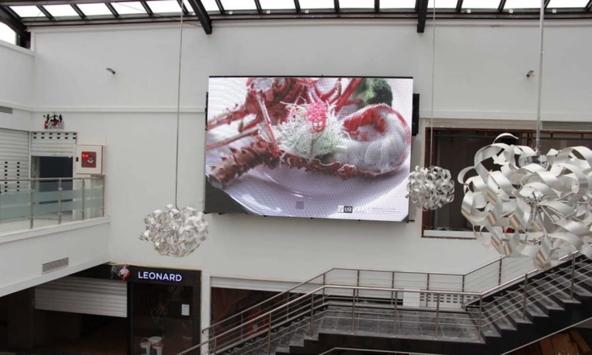 Morocco OOH Campaign