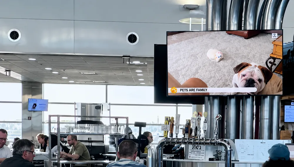SDF airport advertising Louisville Muhammad Ali terminal gate screen