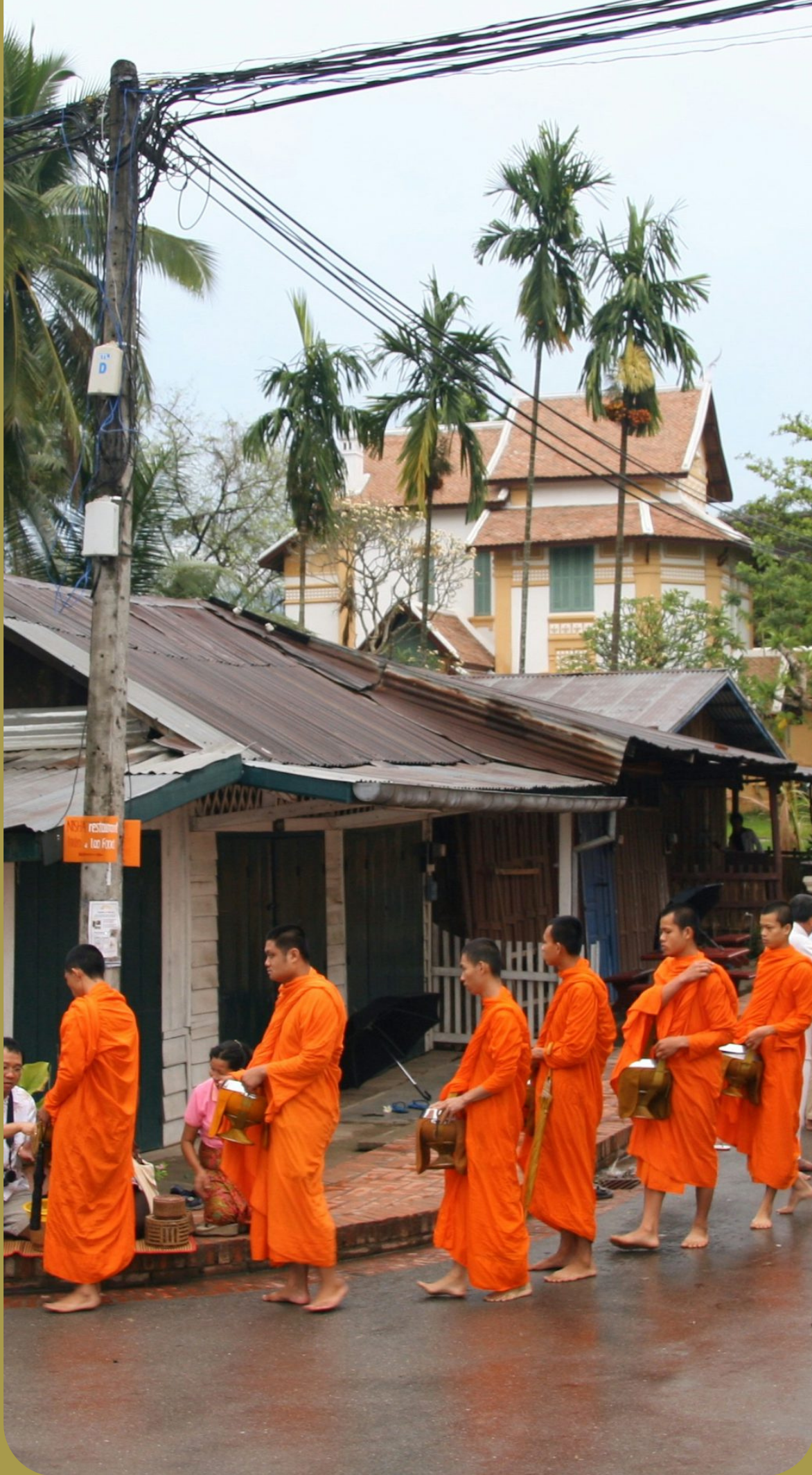 Buddhist monks receiving alms in the early morning, Luang Prabang, Laos